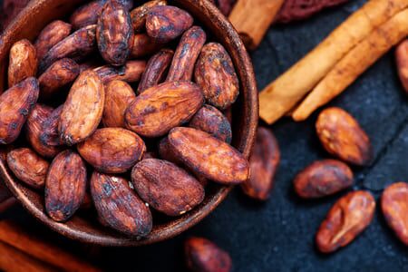 Cacao & Cordyceps - Image 2